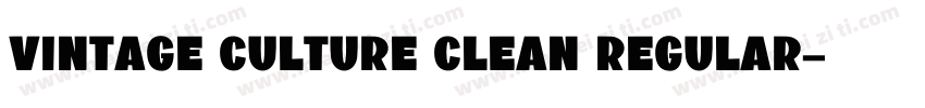 Vintage Culture Clean Regular字体转换